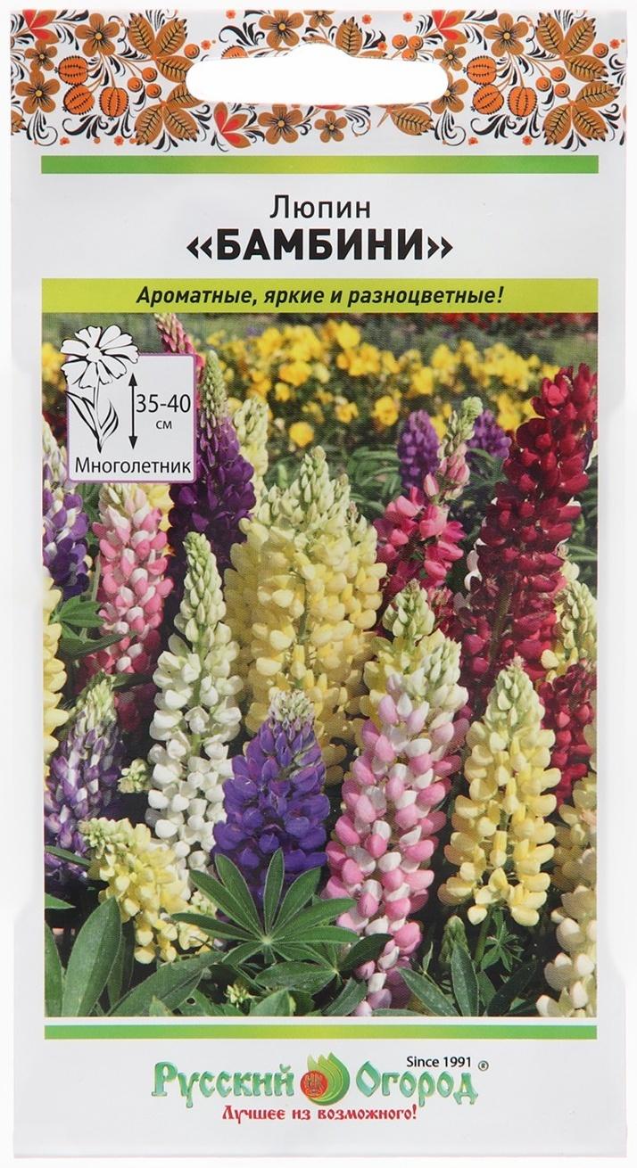 Семена цветов Люпин 