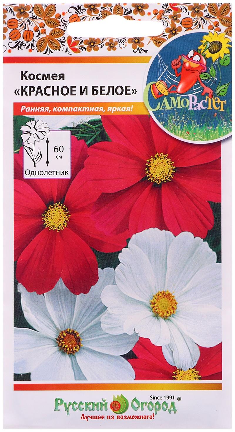 Семена цветов Космея 