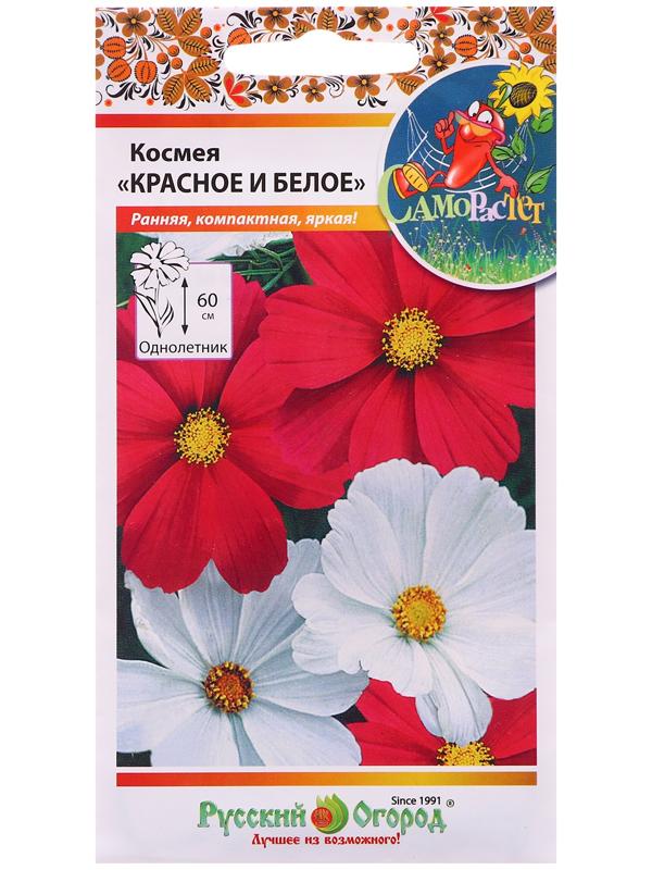 Семена цветов Космея 