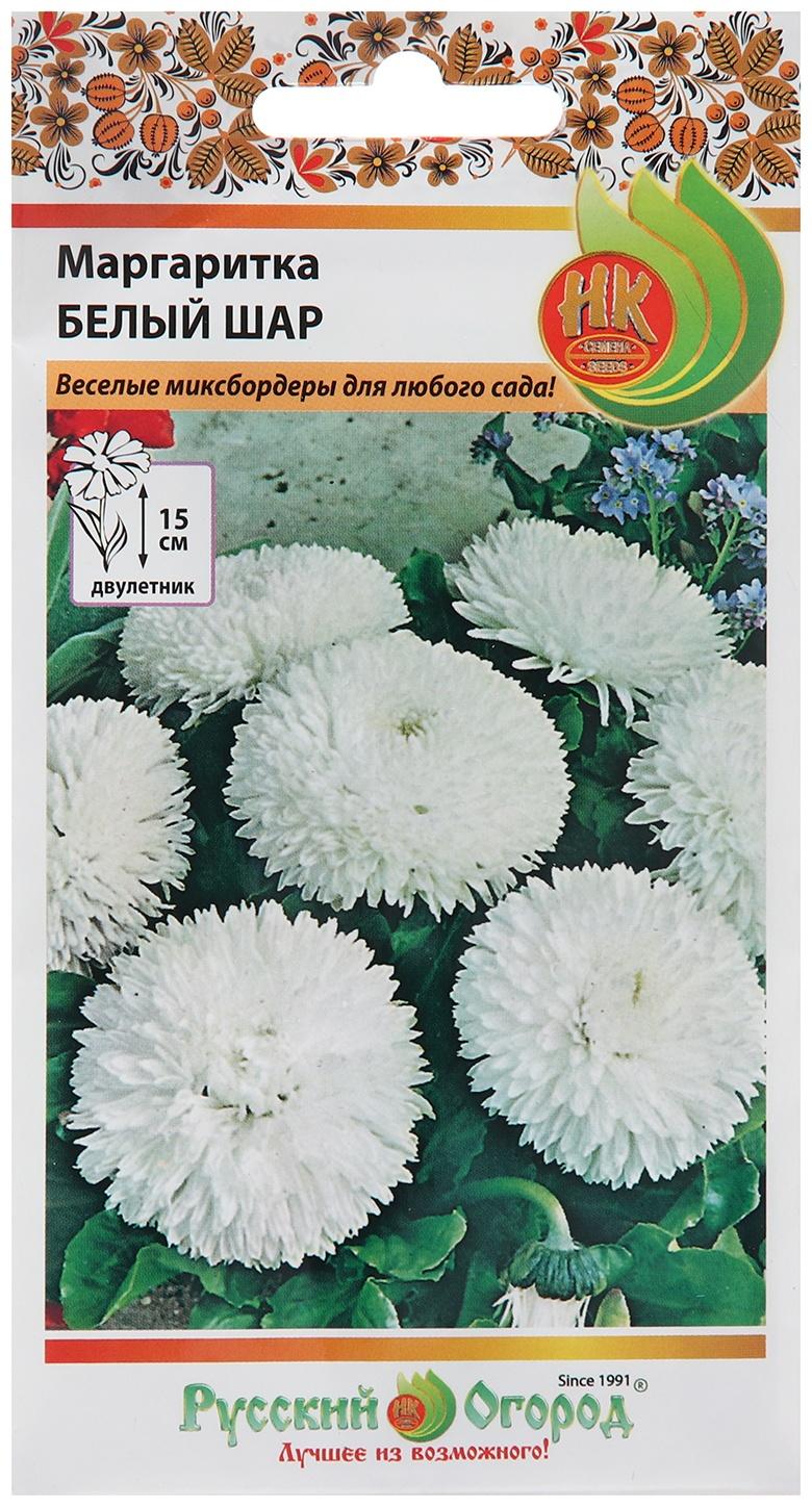 Семена цветов Маргаритка 