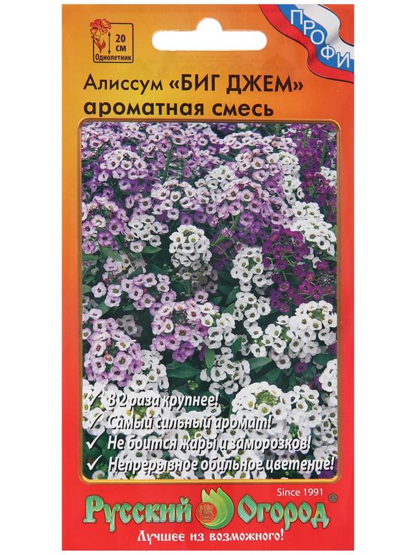 Семена цветов Алиссум 