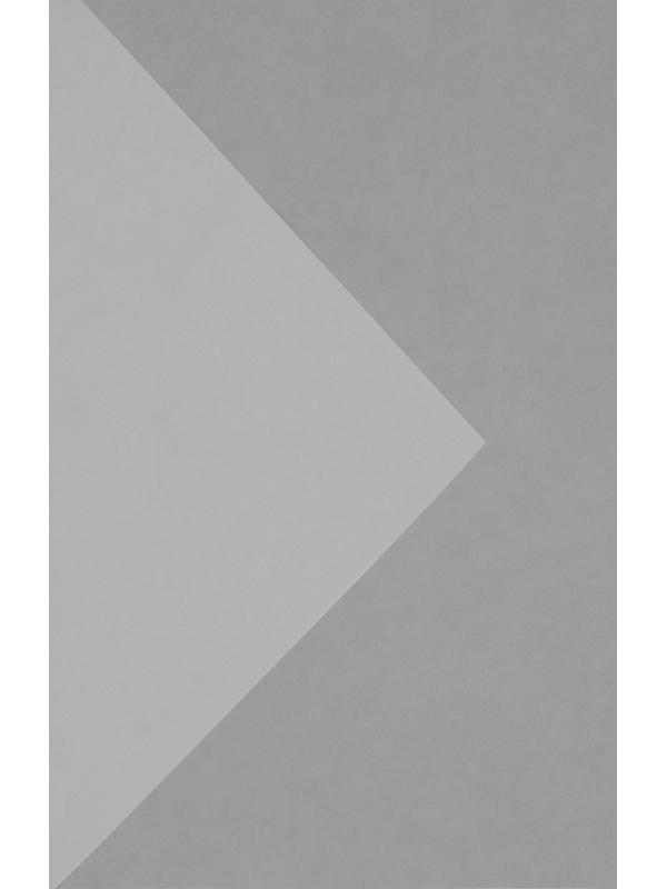 Плёнка матовая прозрачная «Белая», 0.6 x 10 м