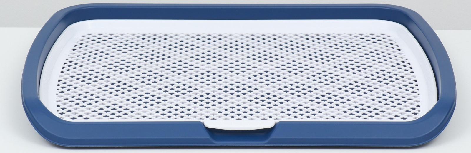 Туалет открытый 65 х 6,5 х 50 см, синий