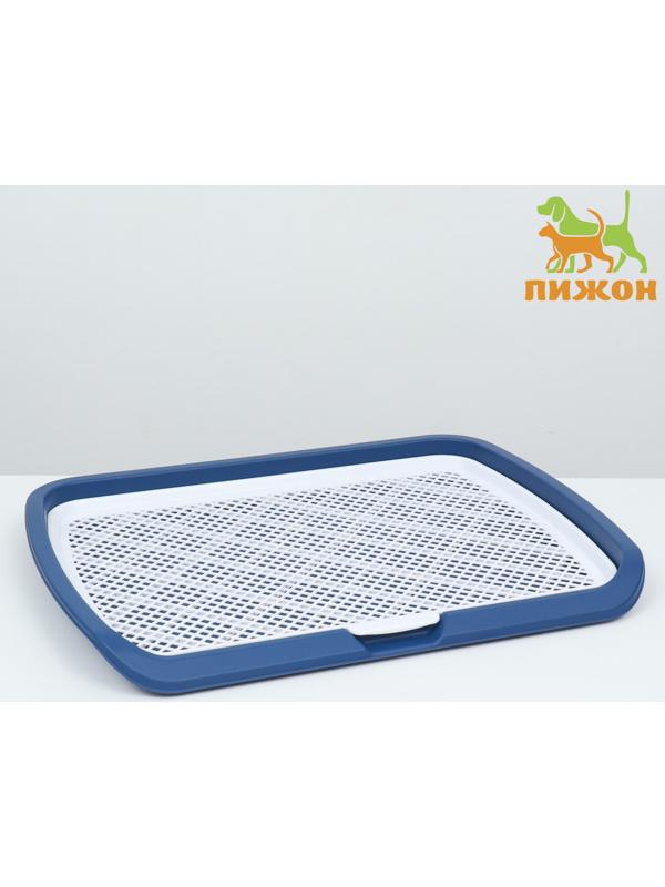 Туалет открытый 65 х 6,5 х 50 см, синий