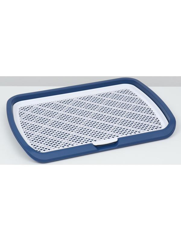 Туалет открытый 65 х 6,5 х 50 см, синий