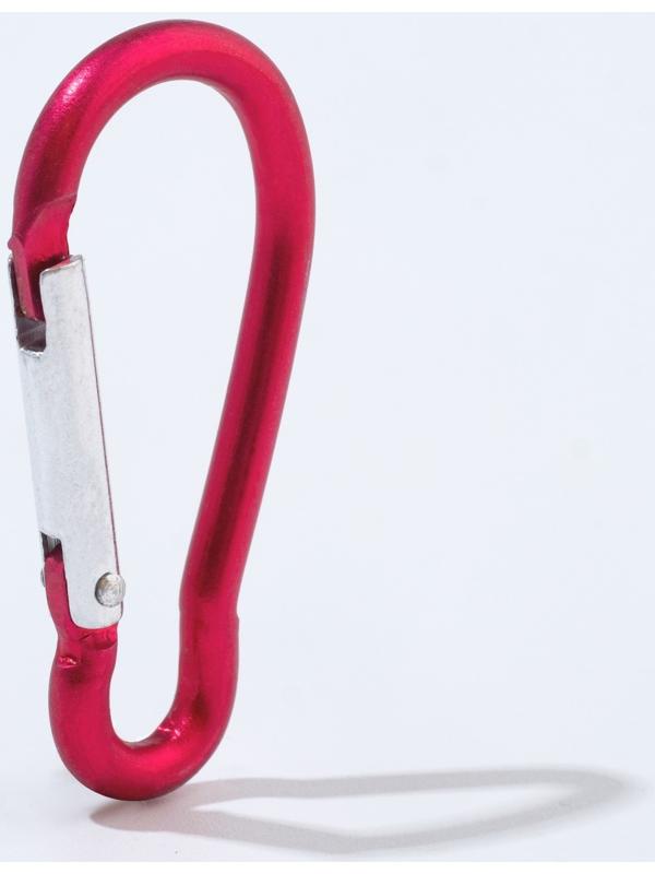 Набор карабинов, туристических 4.5см, 10 шт