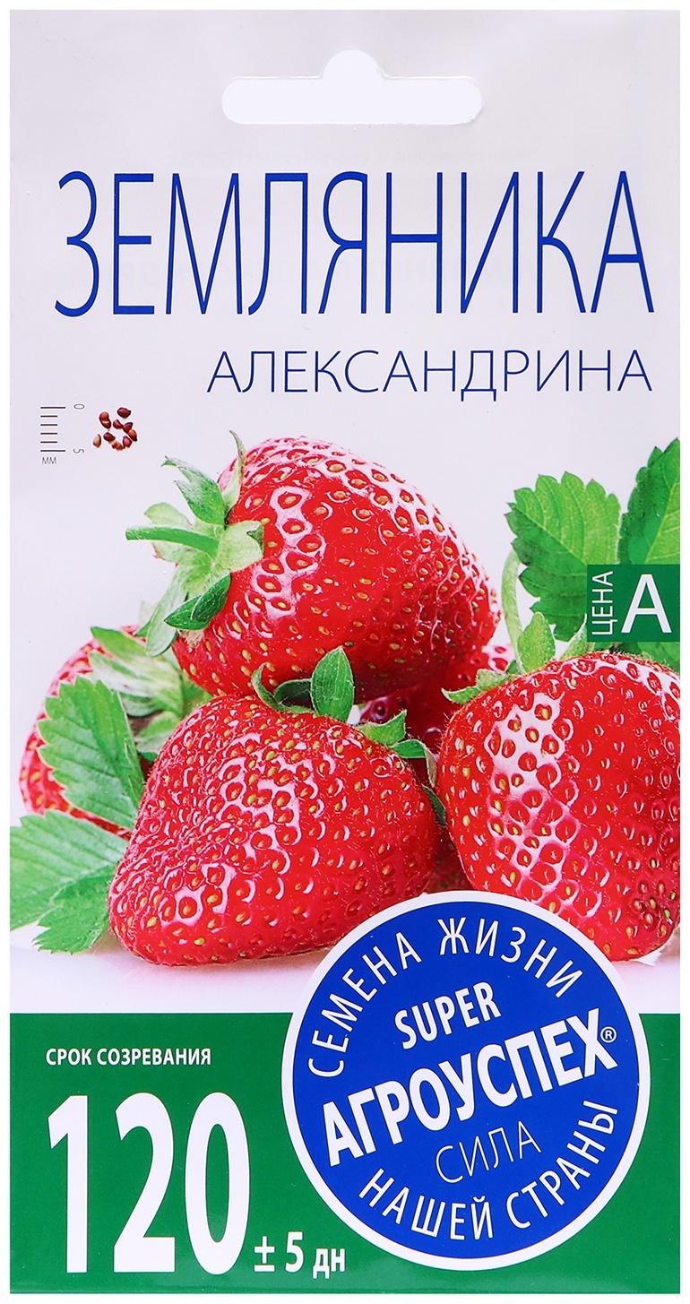 Семена Земляника 