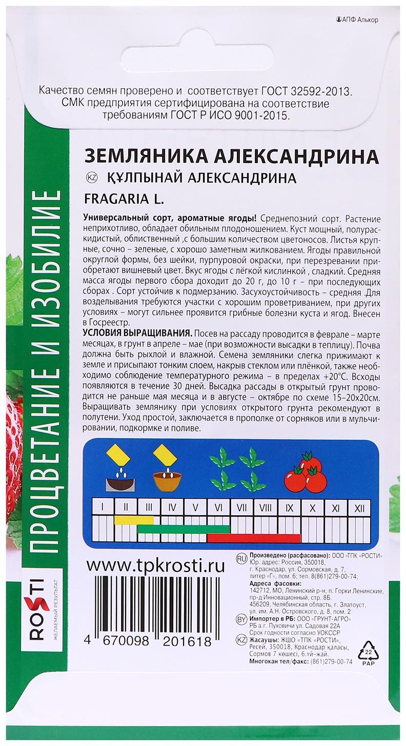 Семена Земляника 