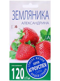 Семена Земляника 