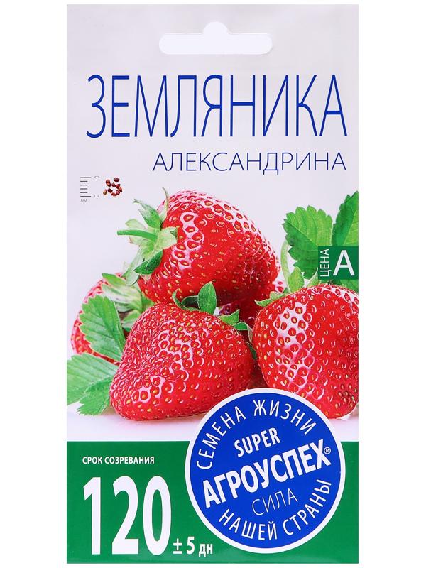 Семена Земляника 