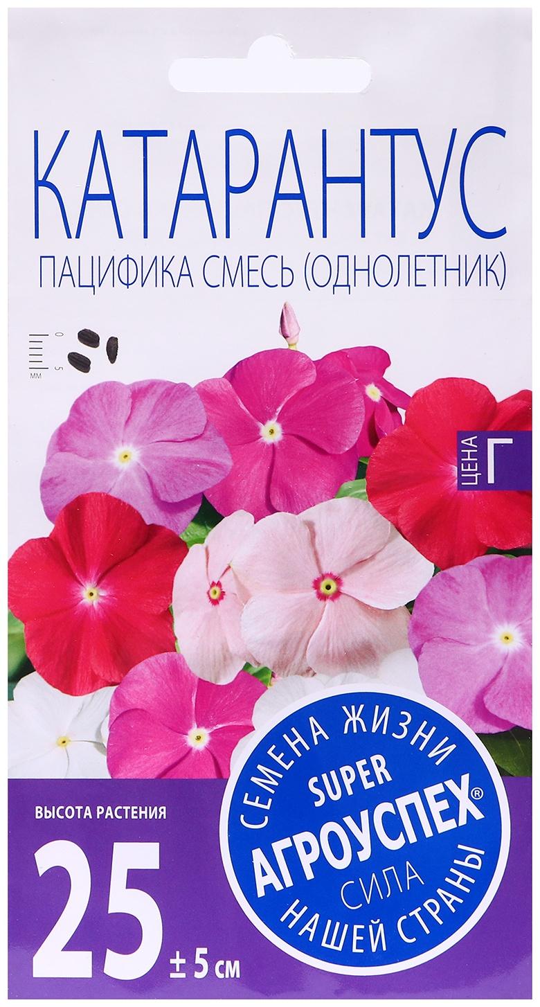 Семена цветов Катарантус 