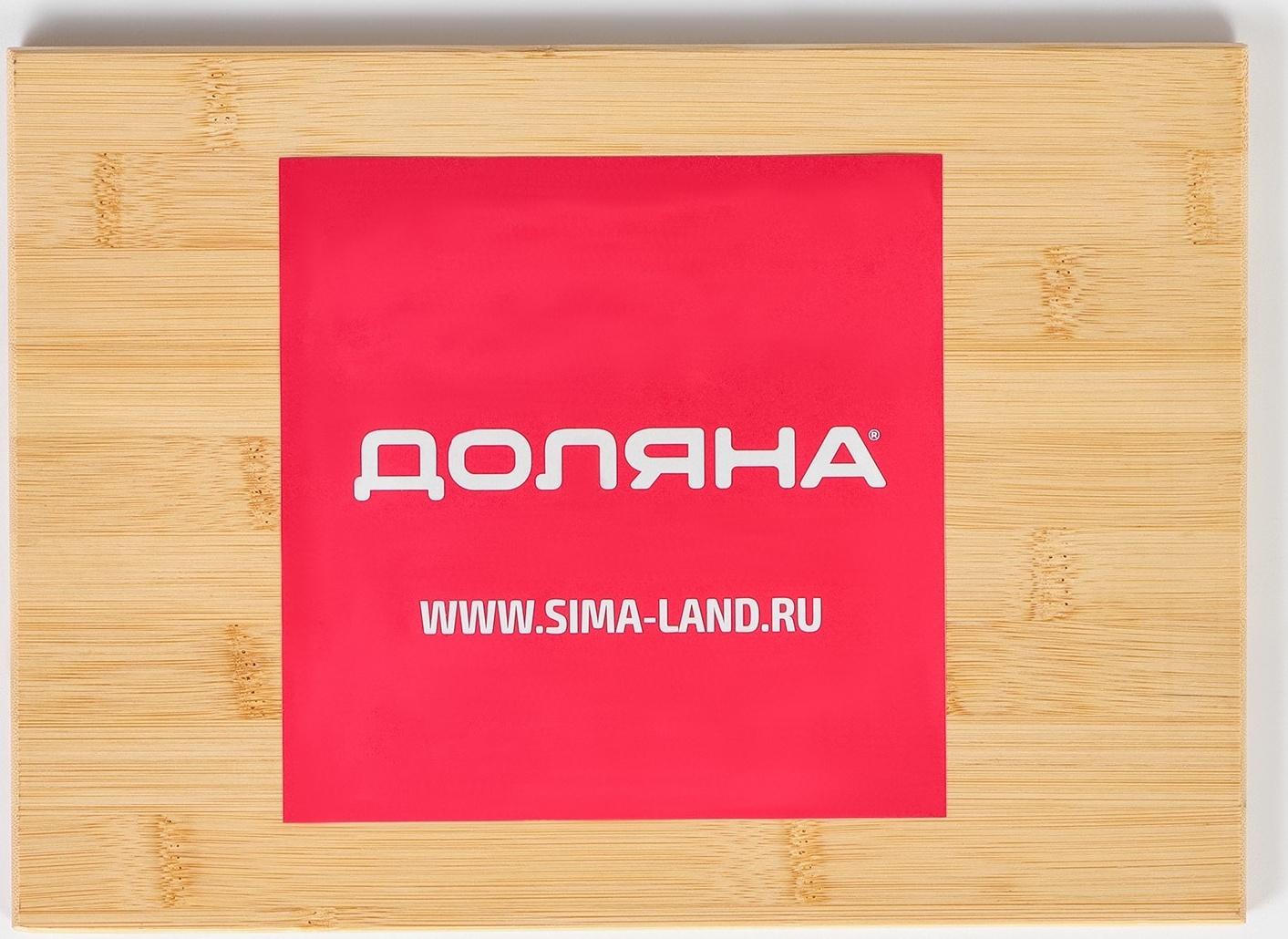 Доска разделочная Доляна «Идея», 28×20 см, бамбук