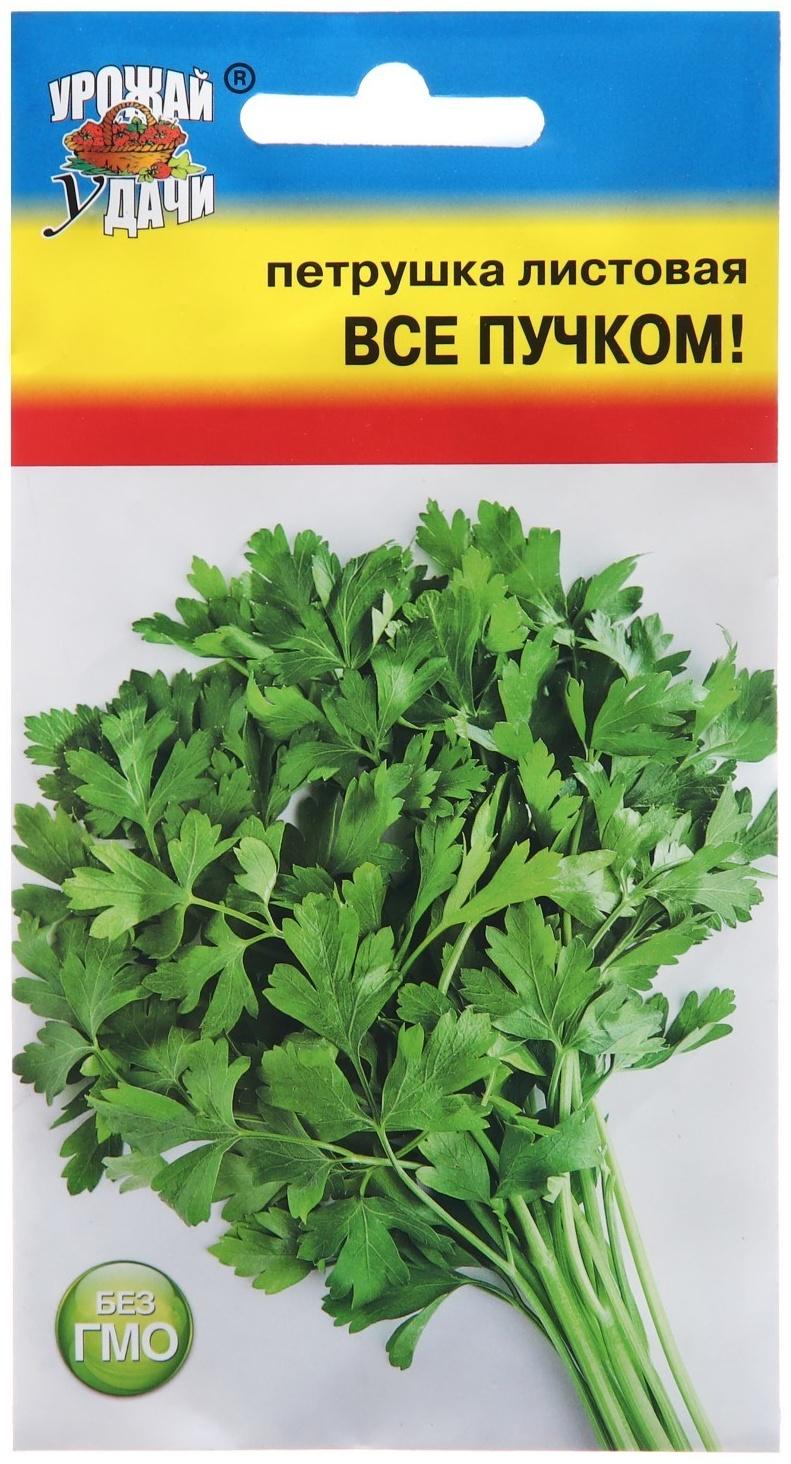 Семена Петрушка листовая 