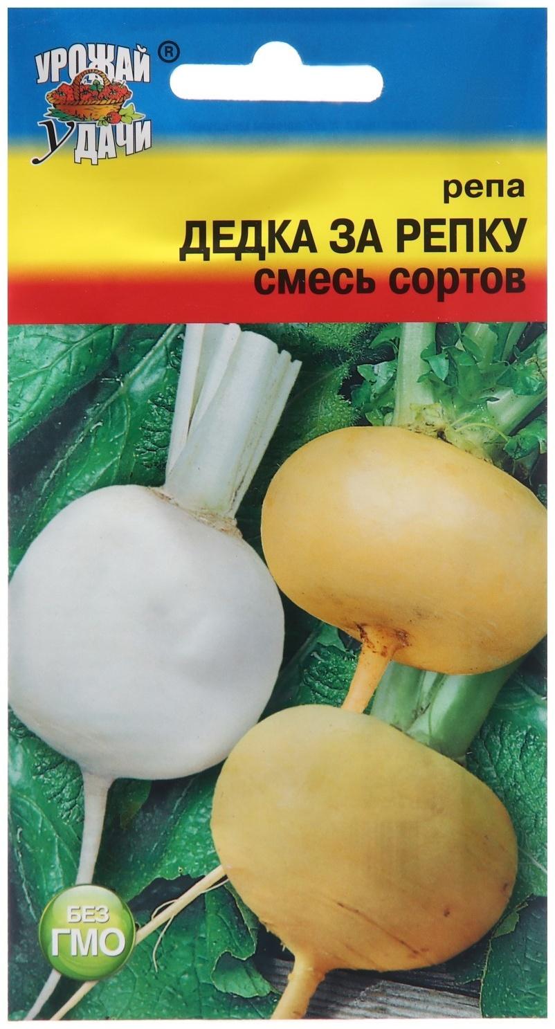 Семена Репа 