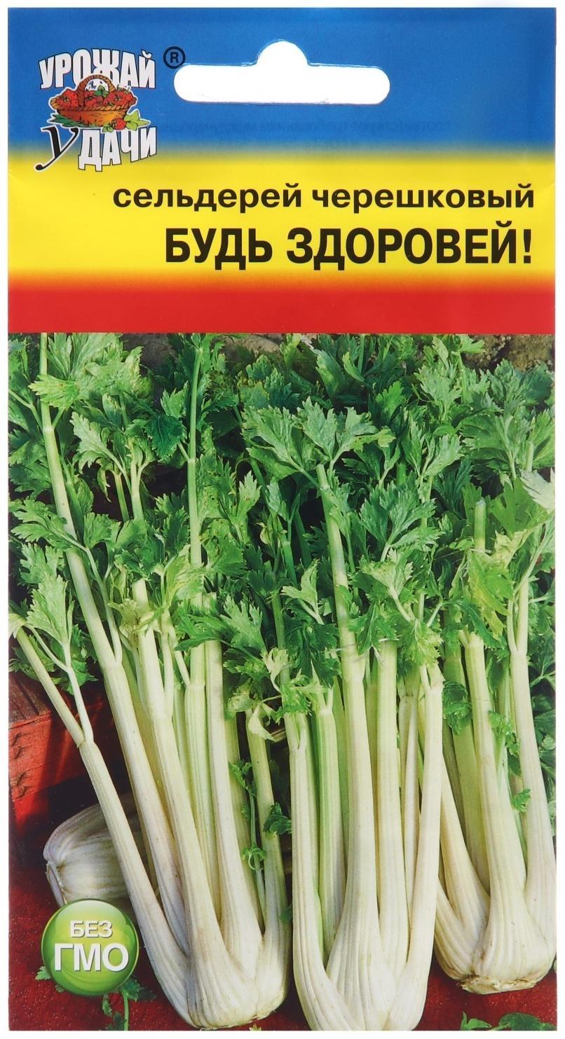 Семена Сельдерей черешковый 