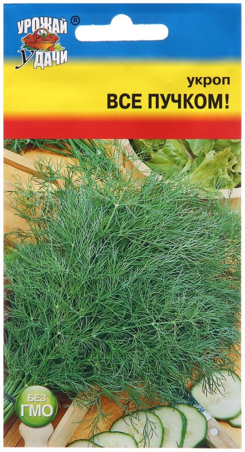 Семена Укроп 