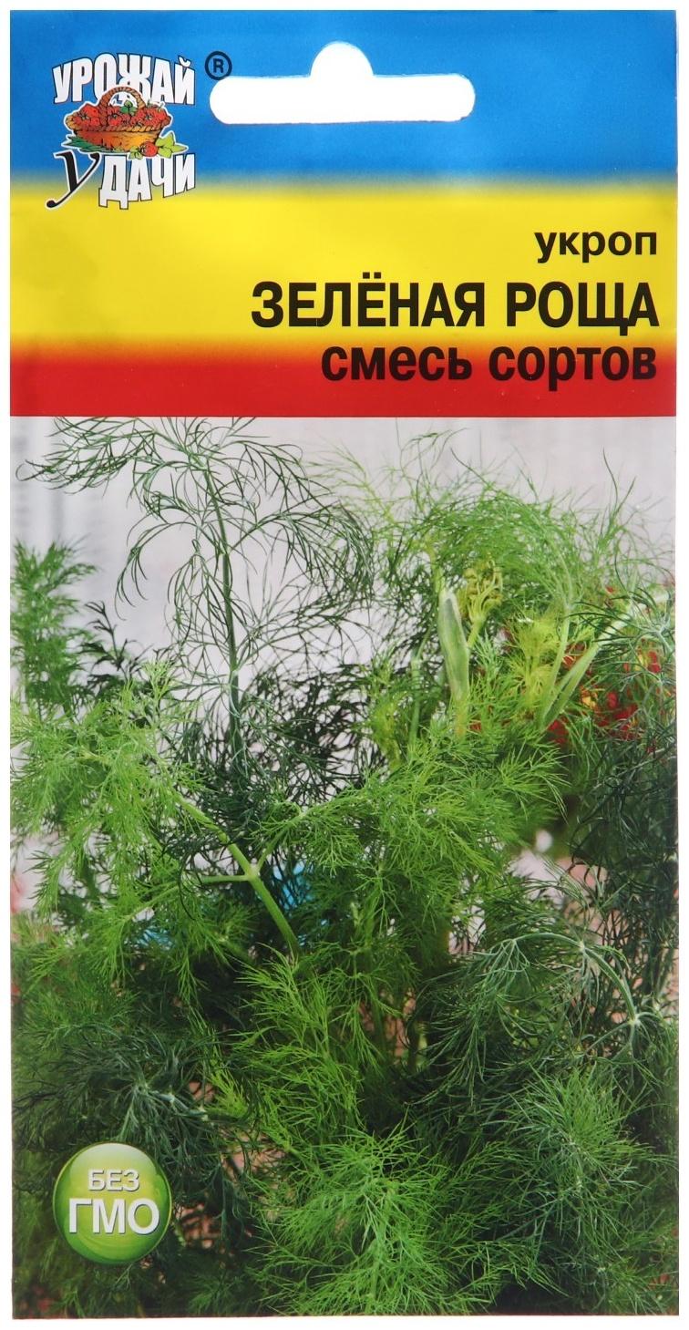 Семена Укроп 