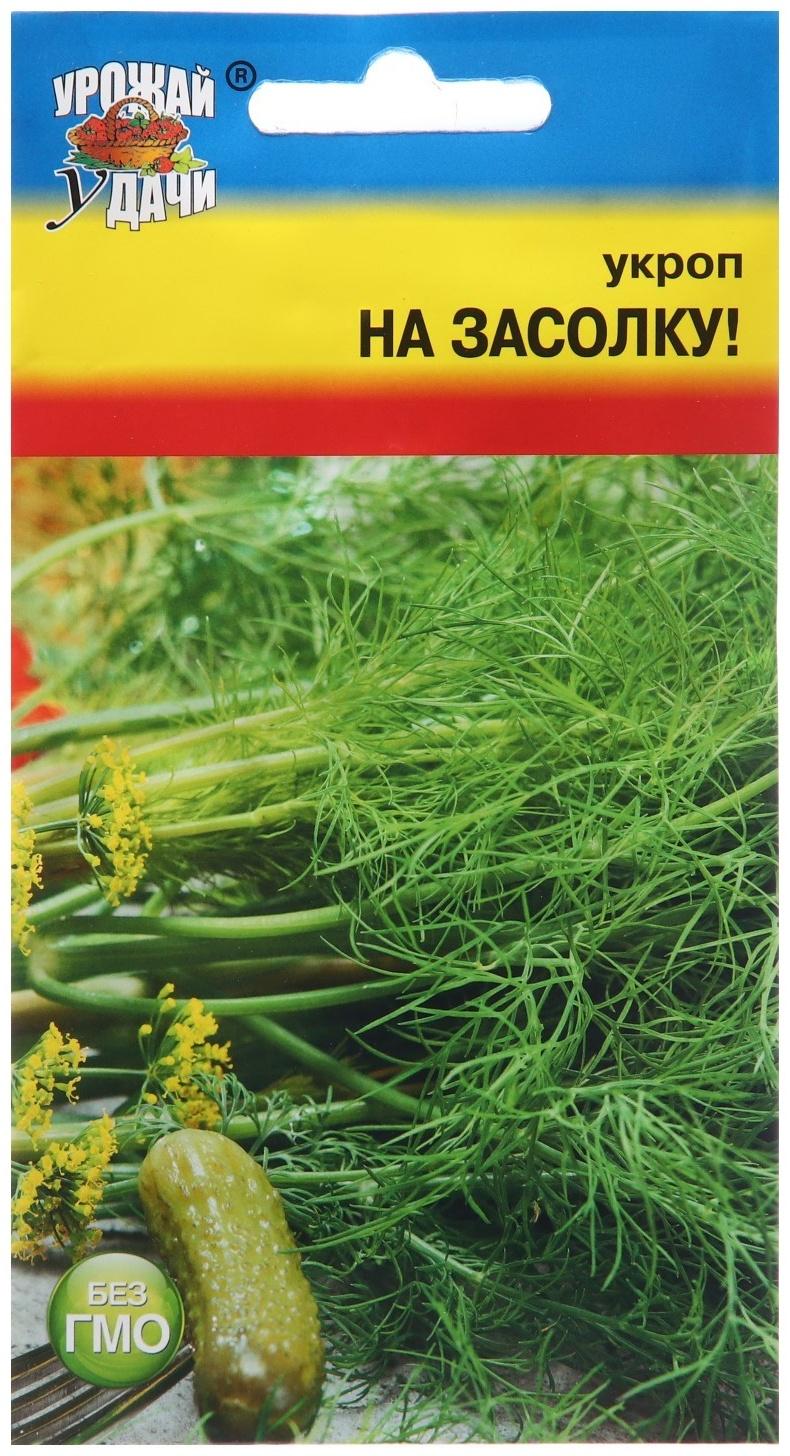 Семена Укроп 