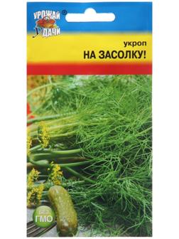 Семена Укроп 