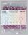 Ипликатор-коврик, основа ПВХ, 140 модулей, 28 × 64 см, цвет прозрачный/фиолетовый