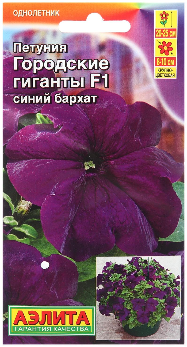 Семена Петуния Городские гиганты F1 синий бархат   Одн (драже в пробирке) Ц/П 7шт