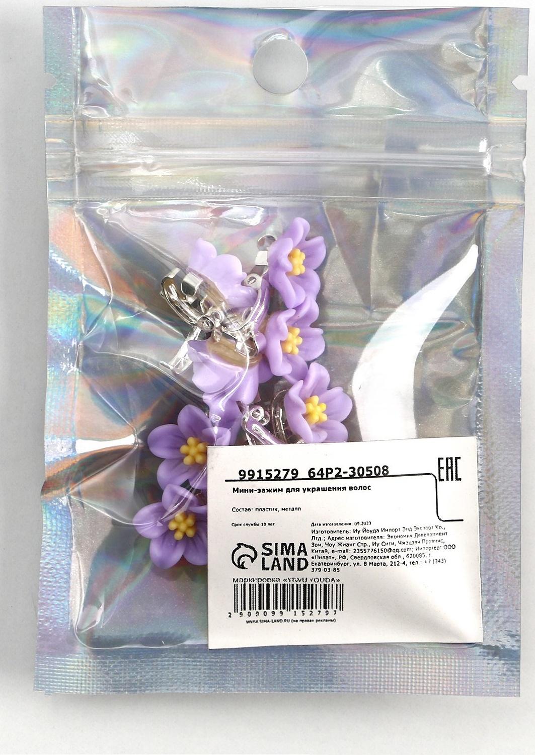 Набор мини-зажимов для украшения волос 