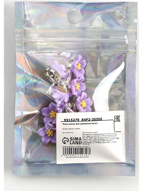 Набор мини-зажимов для украшения волос 