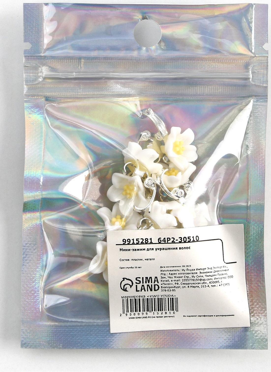 Набор мини-зажимов для украшения волос 