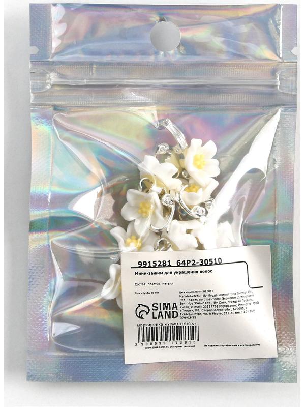 Набор мини-зажимов для украшения волос 