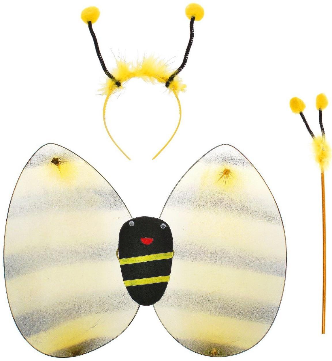 Карнавальный набор 