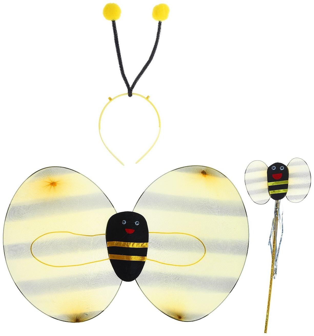 Карнавальный набор 