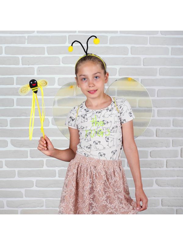 Карнавальный набор 