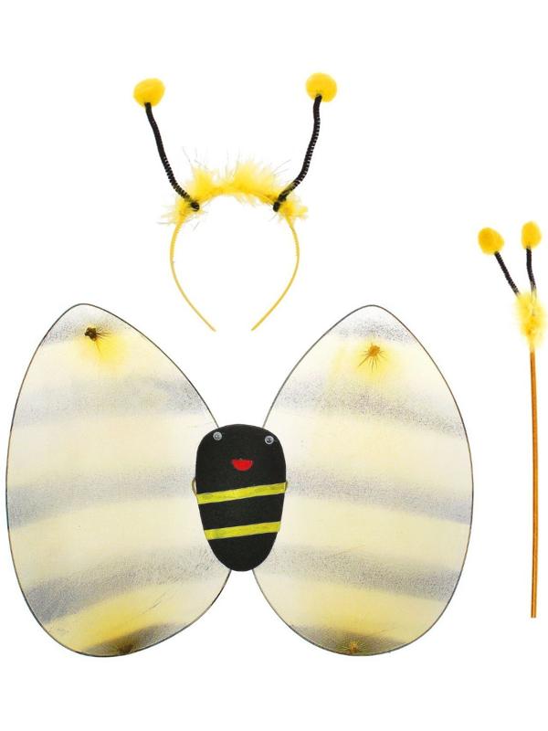 Карнавальный набор 