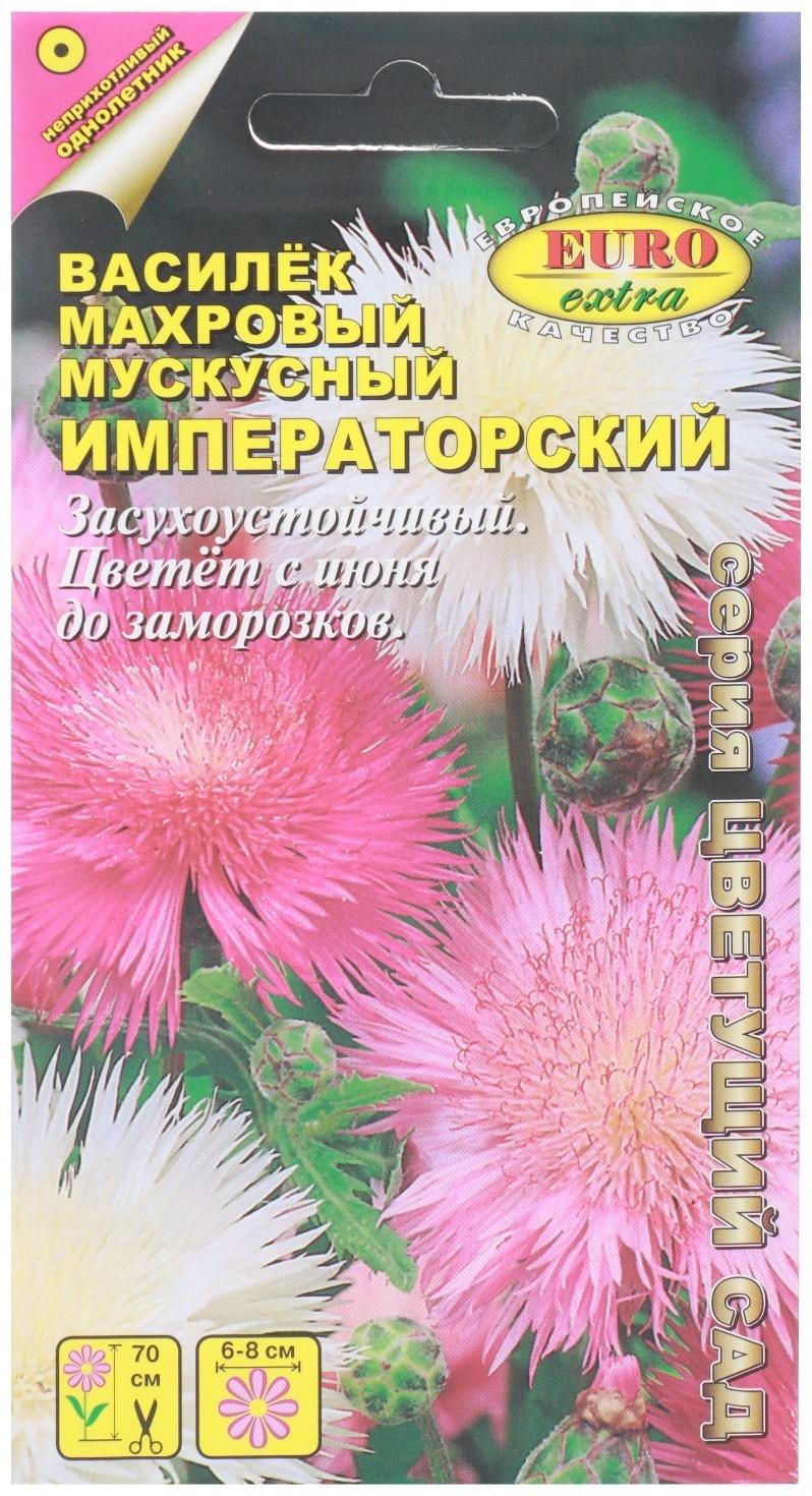 Семена цветов Василек махровый мускусный 