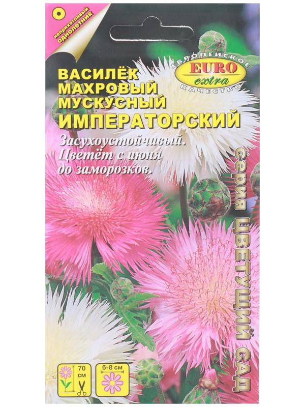 Семена цветов Василек махровый мускусный 