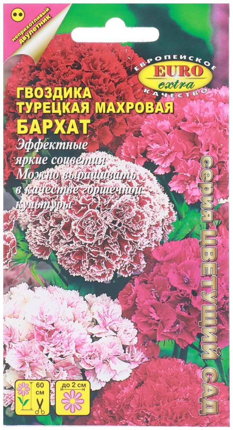 Семена цветов Гвоздика турецкая махровая 