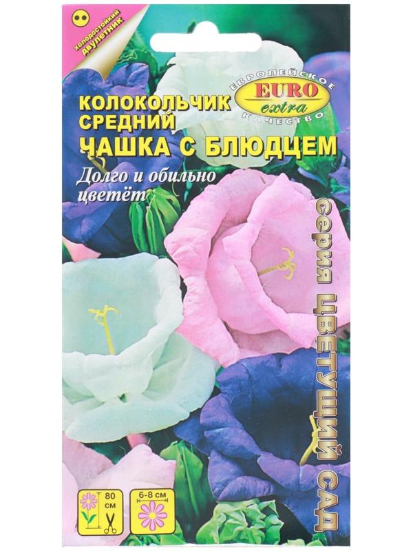 Семена цветов Колокольчик средний 