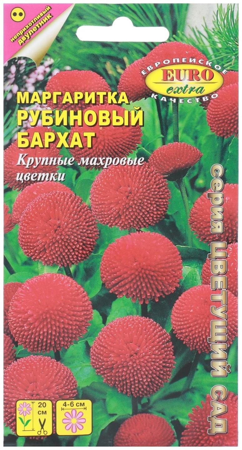 Семена цветов Маргаритка 