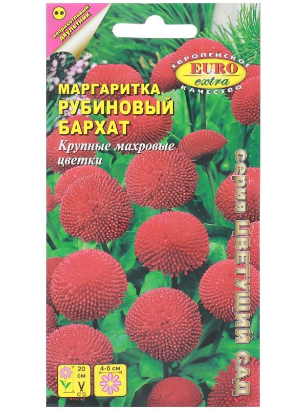 Семена цветов Маргаритка 