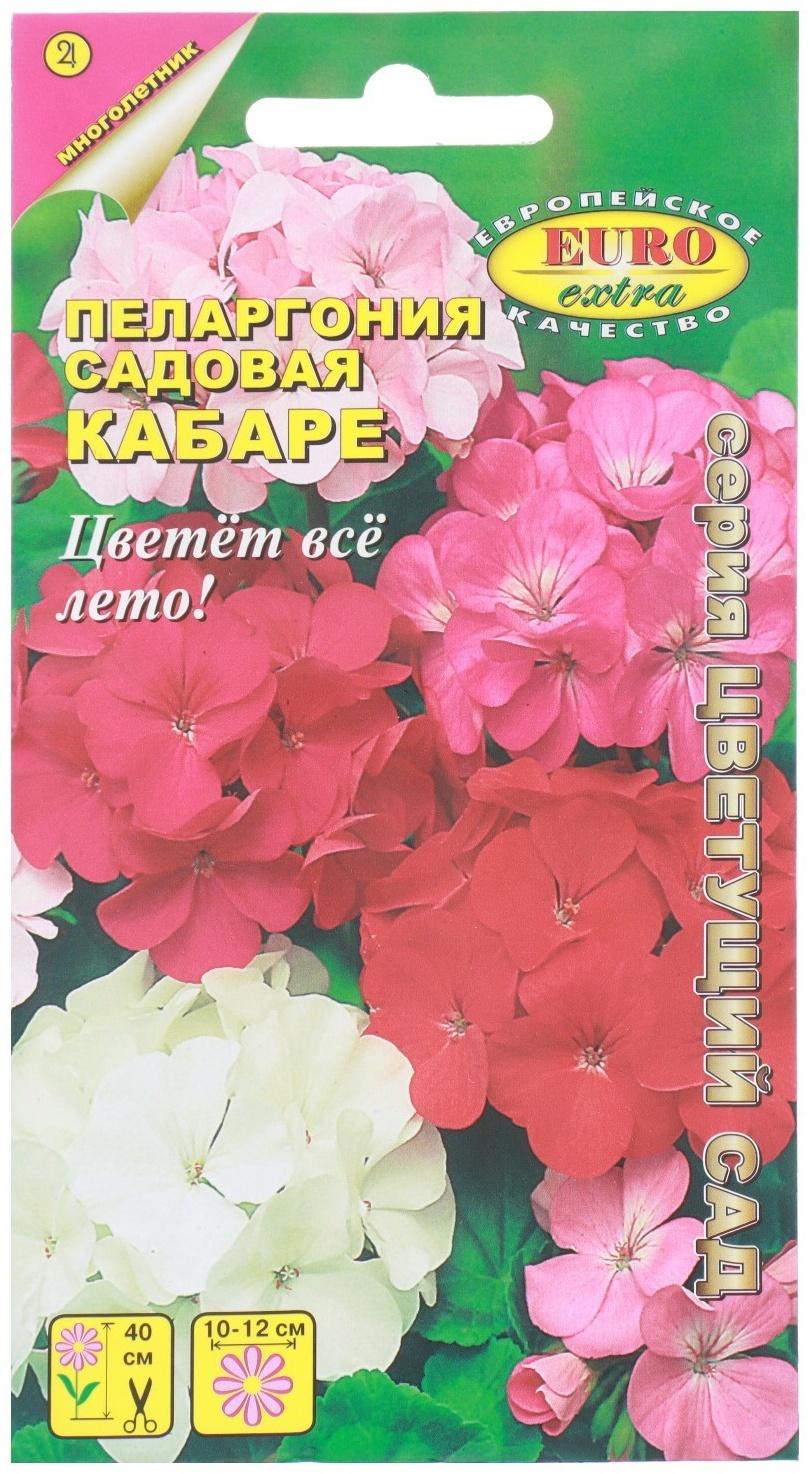 Семена цветов Пеларгония 