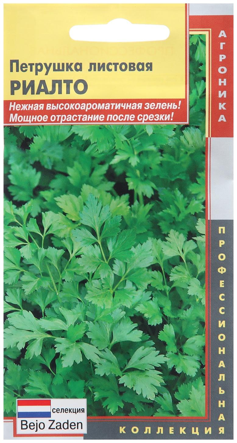 Семена Петрушка листовая 