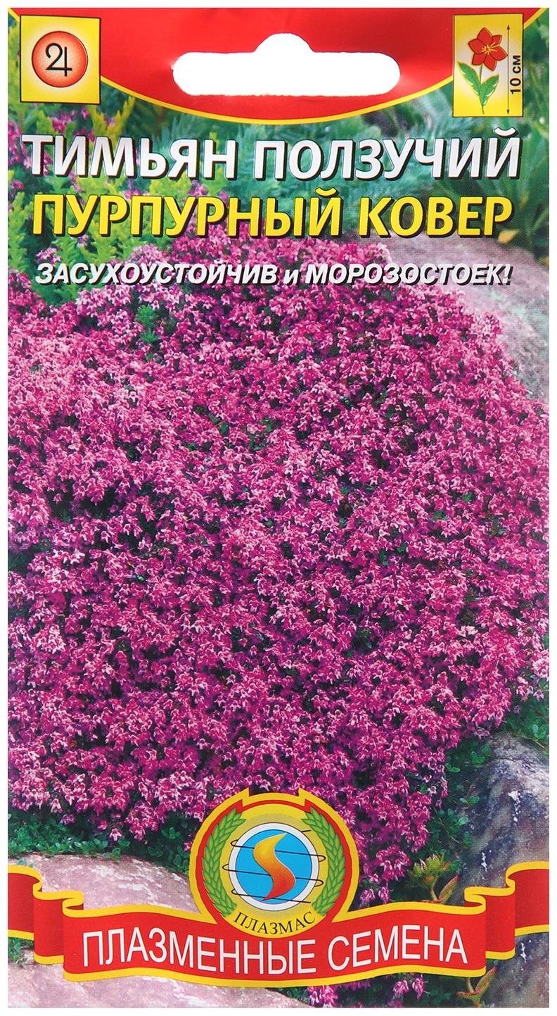 Семена Тимьян ползучий 
