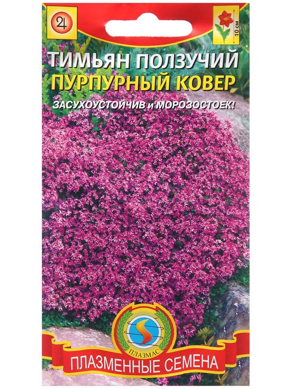 Семена Тимьян ползучий 