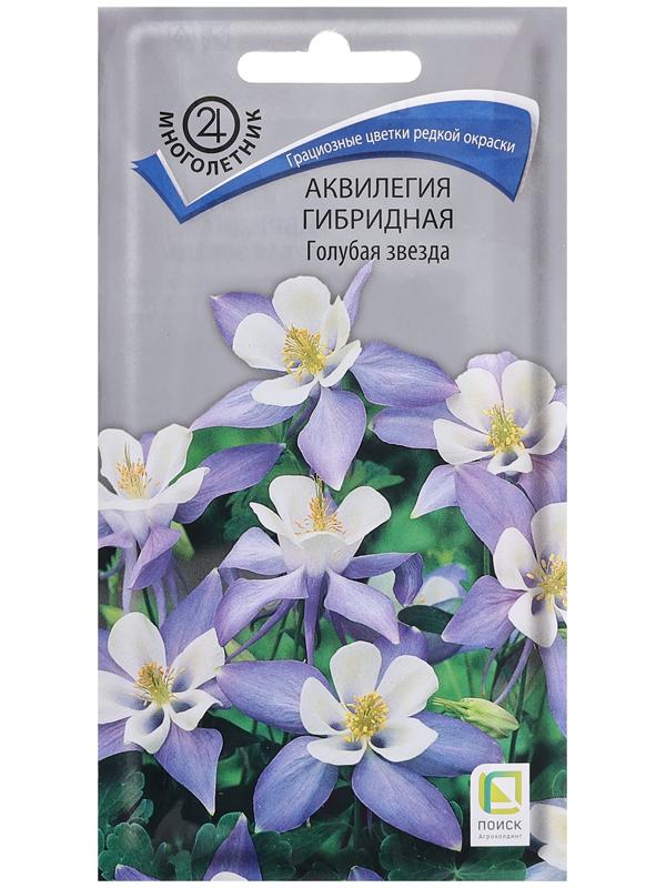Семена цыетов Аквилегия гибридная 