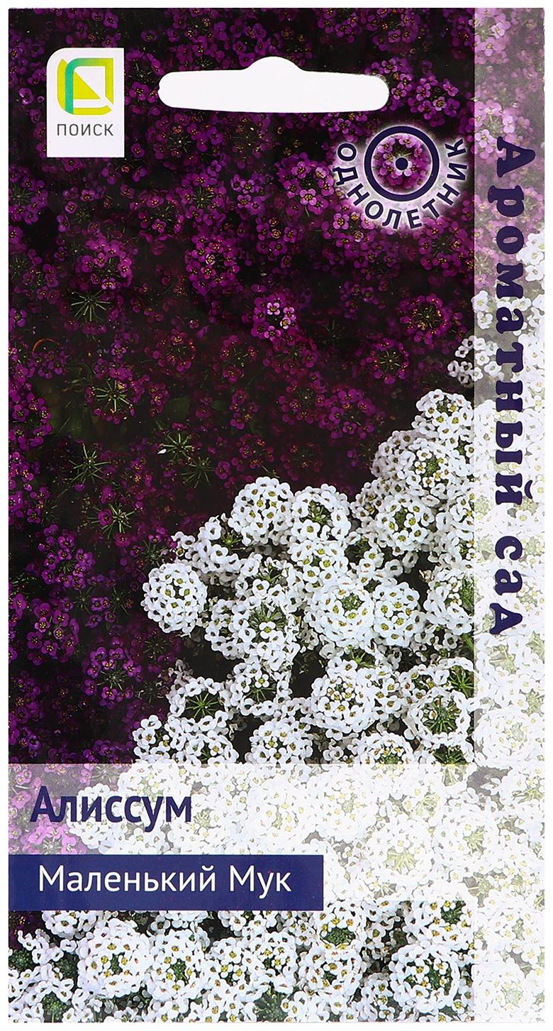 Семена цветов Алиссум 