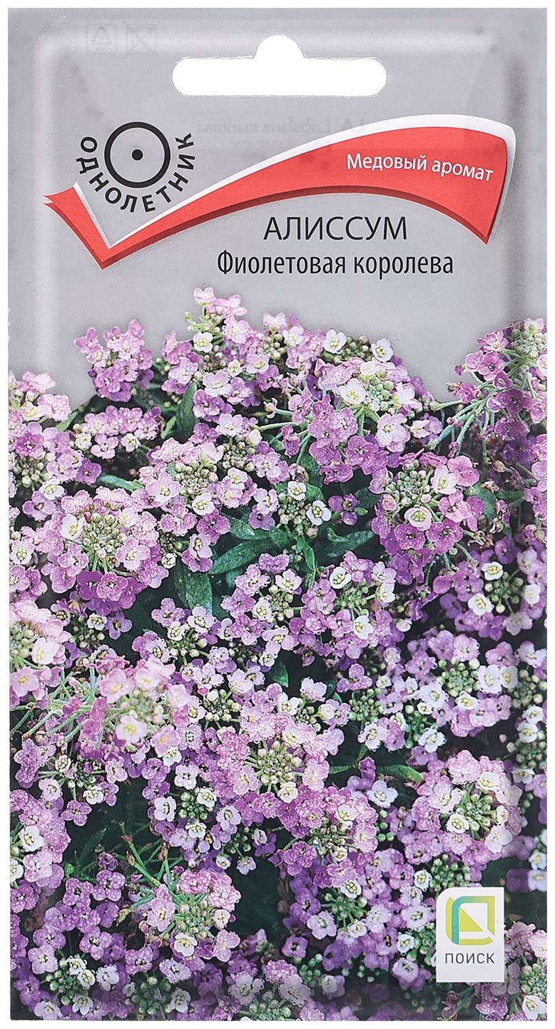 Семена цветов Алиссум 