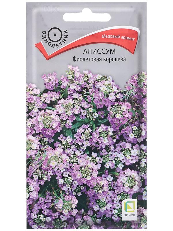 Семена цветов Алиссум 