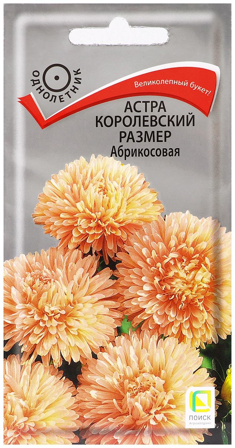 Семена цветов Астра 