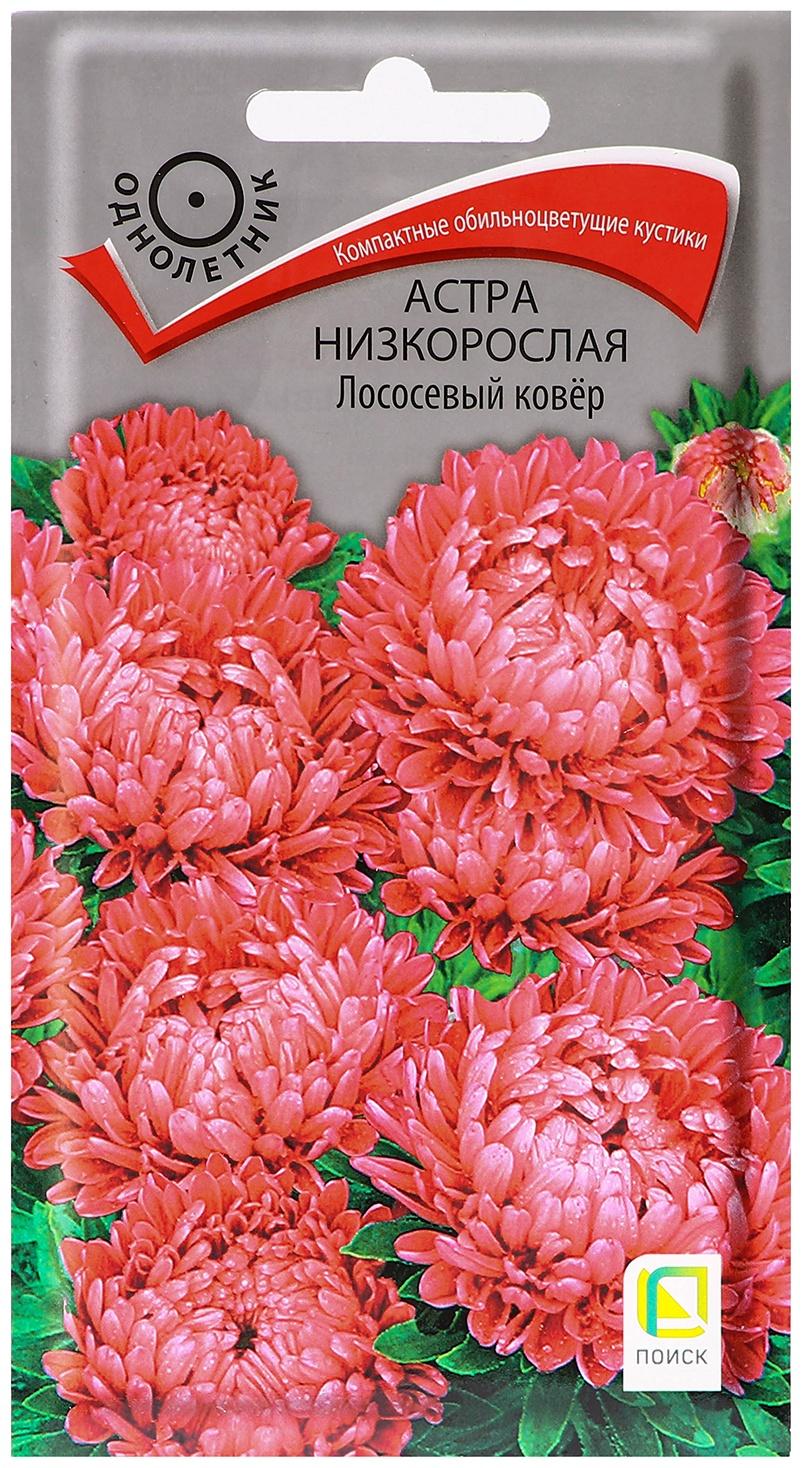 Семена цветов Астра низкорослая 
