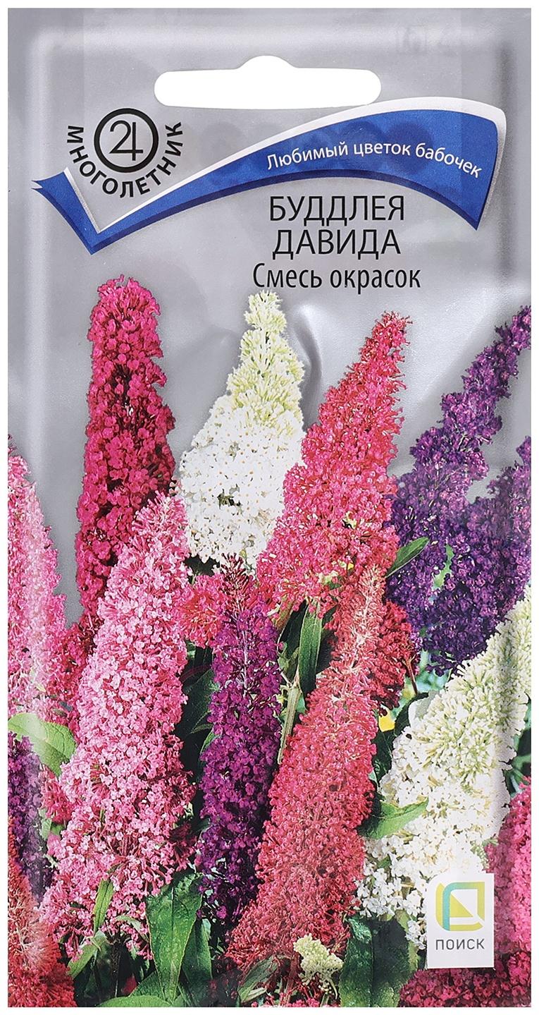 Семена цветов Буддлея 